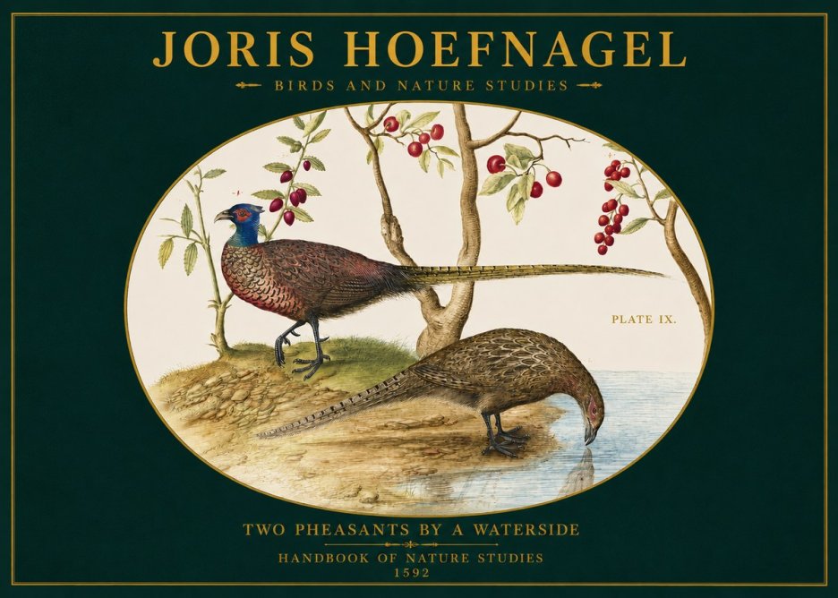Joris Hoefnagel Peacocks and Pheasants Among Fruiting Branches No3 - Plakat