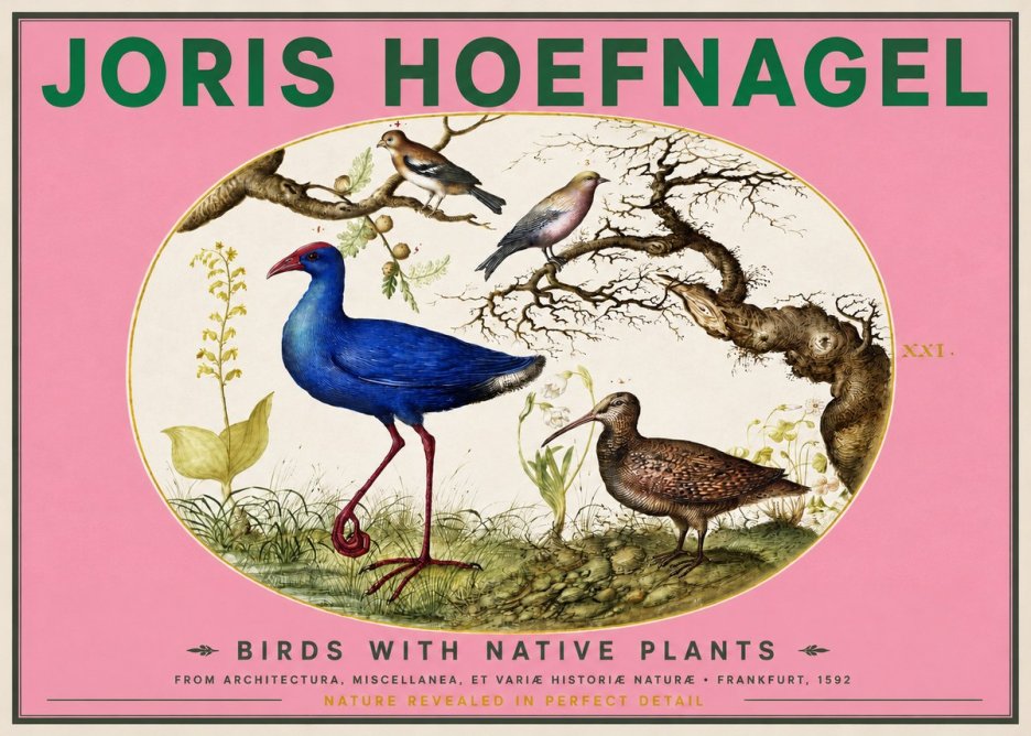 Joris Hoefnagel Birds with Native Plants No2 - Plakat