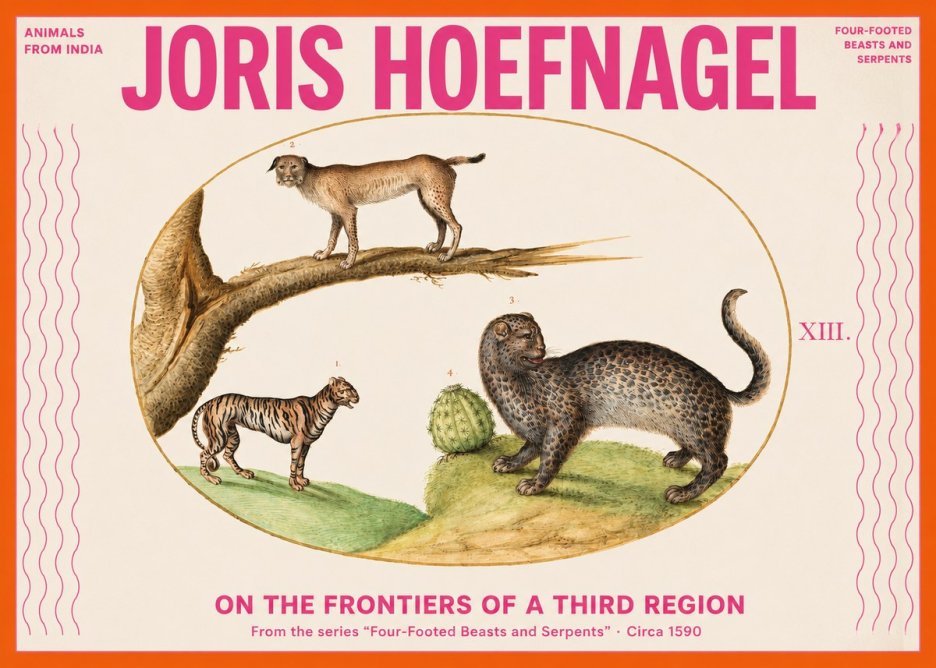 Joris Hoefnagel Four Beasts No3 - Plakat