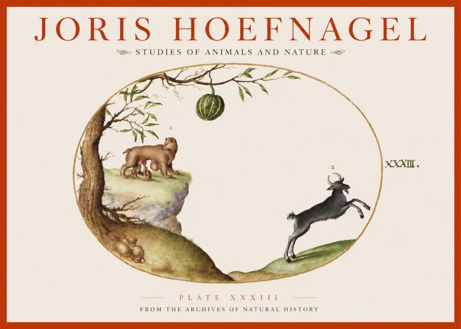 Joris Hoefnagel Plate Xxxiii No2 - Plakat