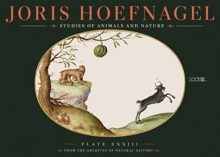 Joris Hoefnagel Plate Xxxiii No4 - Plakat