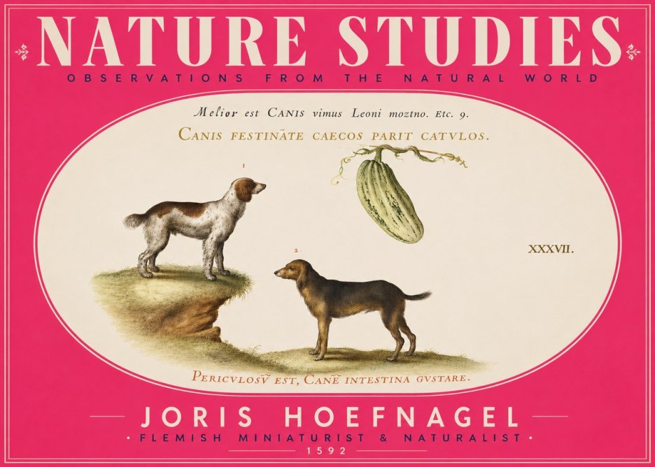 Joris Hoefnagel Canis Festinas Caecos Parit Catulos No5 - Plakat