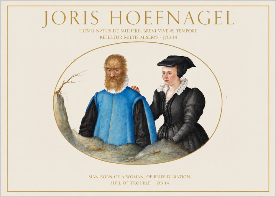 Joris Hoefnagel Homo Natus De Muliere, Brevi Vivens Tempore Refletur Miltis Miserys · Job 14 No1 - Plakat