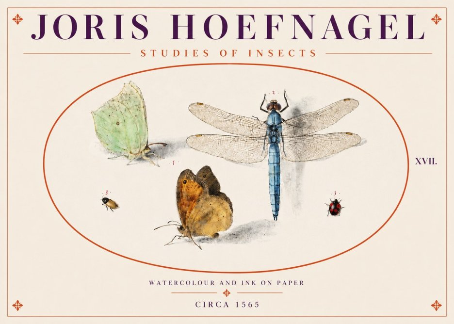 Joris Hoefnagel A Study of Butterflies, Dragonflies and Beetles No5 - Plakat
