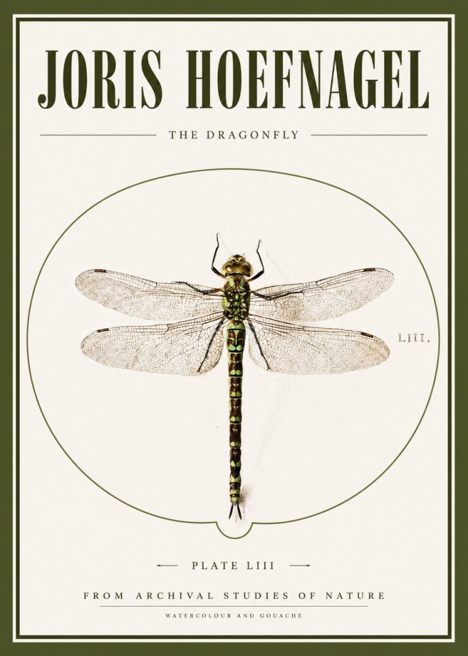 Joris Hoefnagel The Dragonfly No3 - Plakat