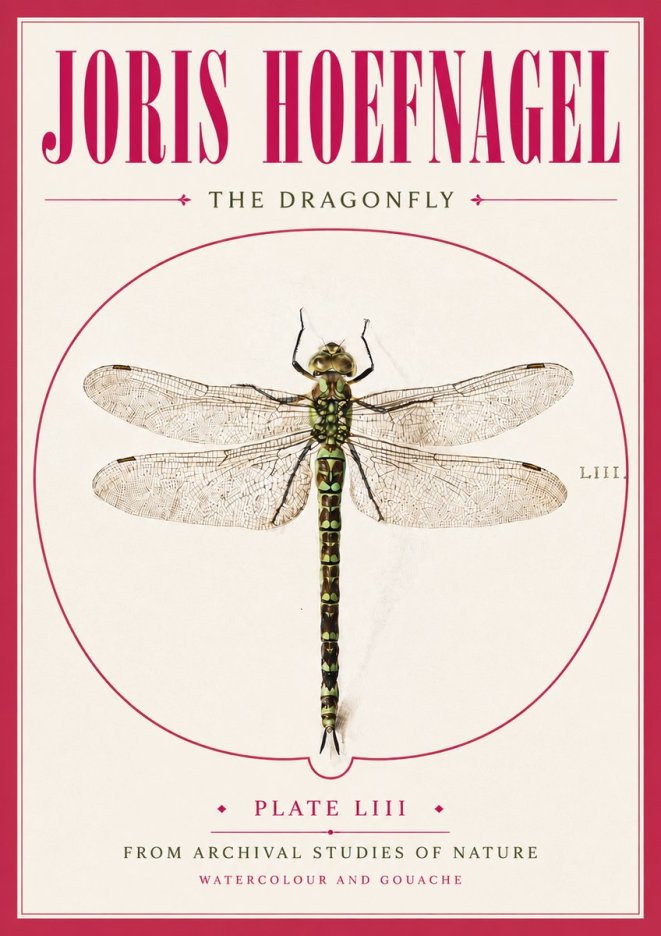 Joris Hoefnagel The Dragonfly No5 - Plakat