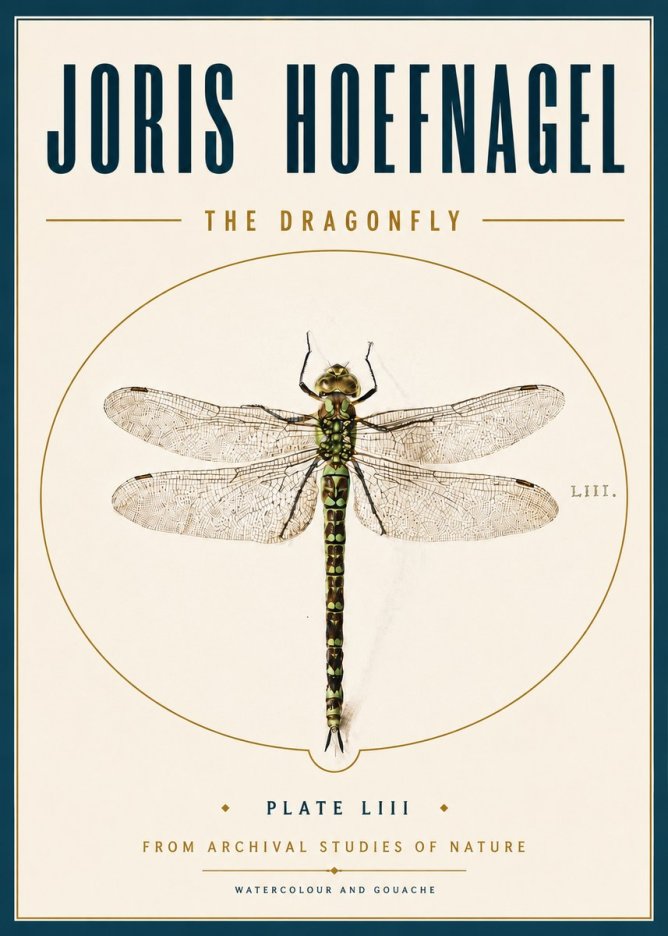 Joris Hoefnagel The Dragonfly No6 - Plakat