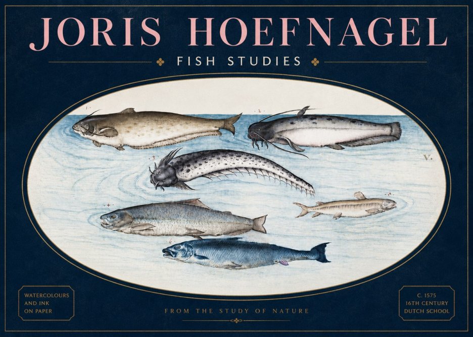 Joris Hoefnagel Fish of the Waters No4 - Plakat