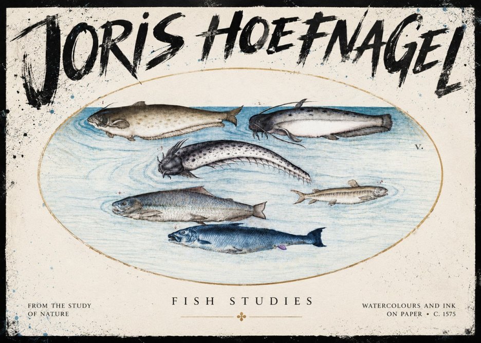 Joris Hoefnagel Fish of the Waters No5 - Plakat