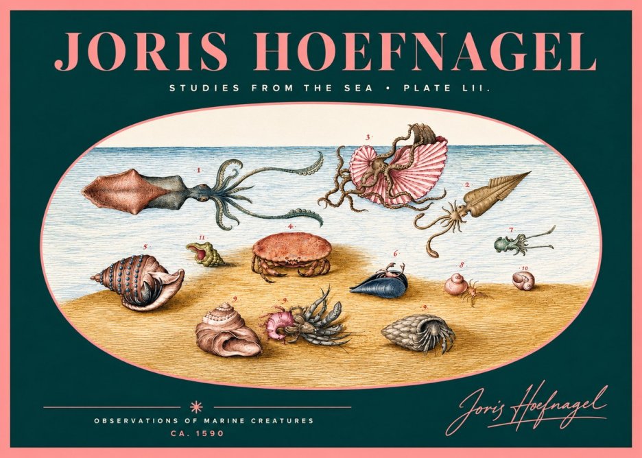 Joris Hoefnagel Marine Creatures - Plate Lii No2 - Plakat
