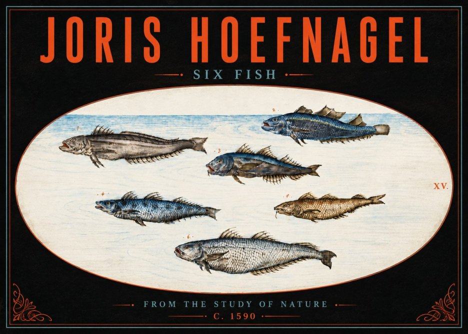 Joris Hoefnagel Six Fish No5 - Plakat