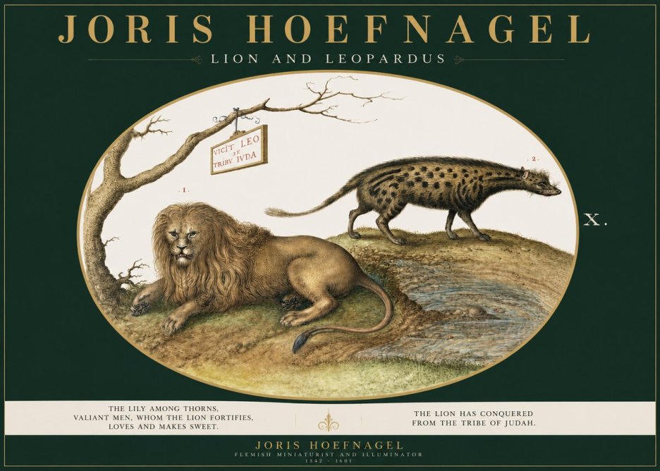 Joris Hoefnagel Lion and Spotted Hyena No3 - Plakat