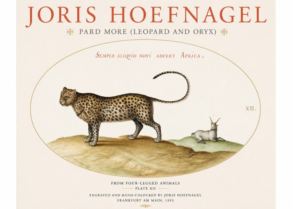Joris Hoefnagel Pard More (Leopard and Oryx) No1 - Plakat