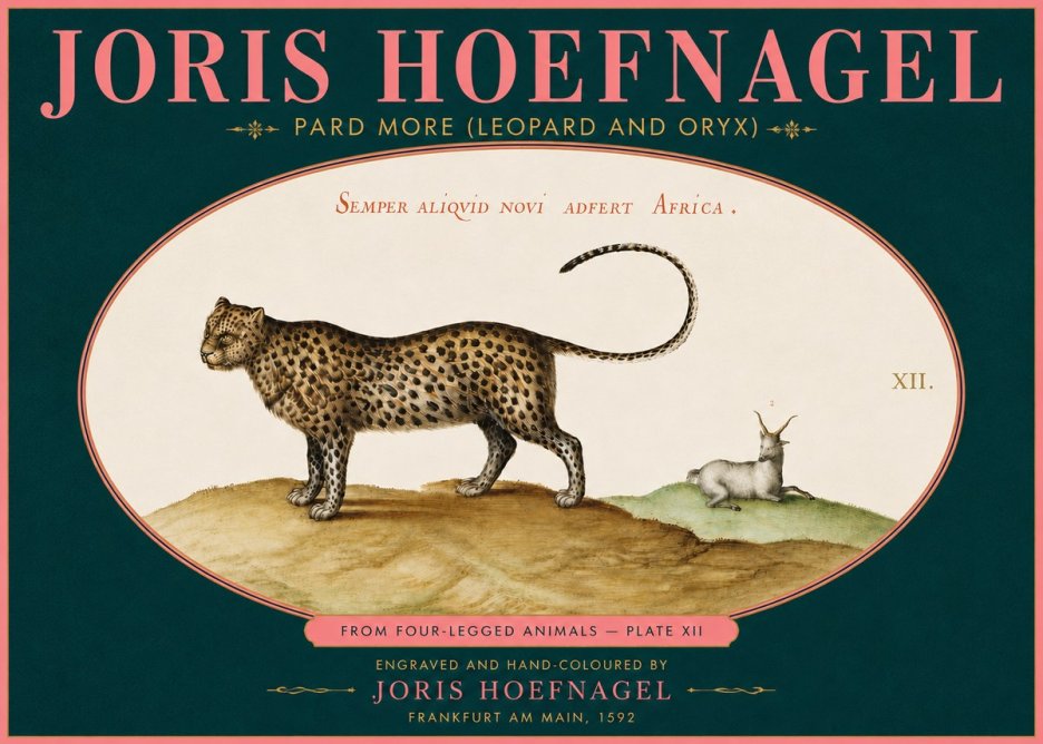 Joris Hoefnagel Pard More (Leopard and Oryx) No5 - Plakat