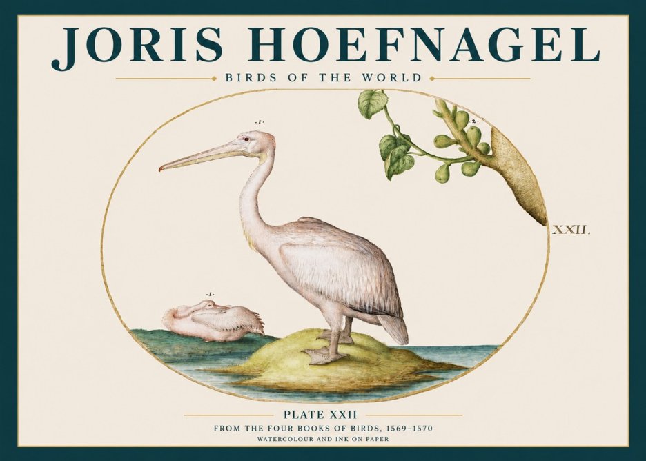Joris Hoefnagel Plate Xxii No3 - Plakat
