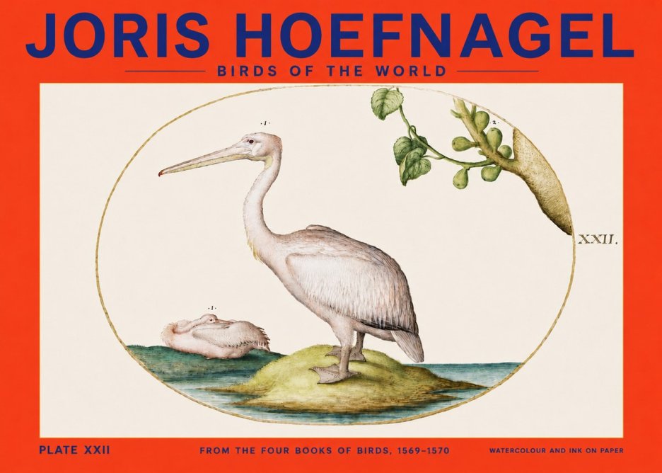 Joris Hoefnagel Plate Xxii No4 - Plakat