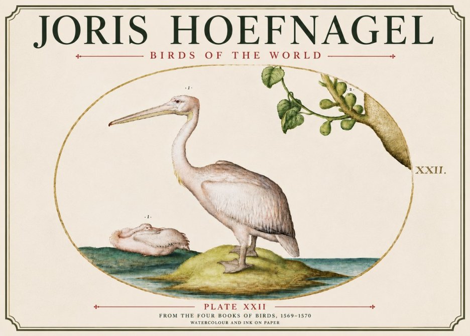 Joris Hoefnagel Plate Xxii No6 - Plakat