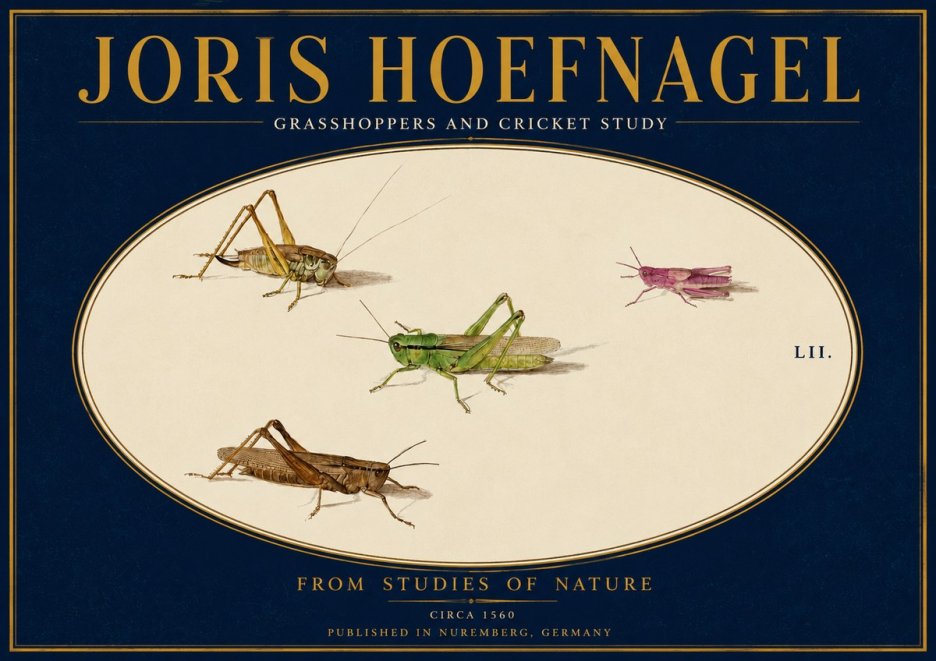 Joris Hoefnagel Three Grasshoppers and a Locust No4 - Plakat