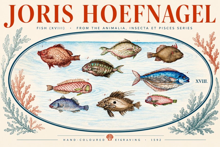 Joris Hoefnagel Studies of Fish I No5 - Plakat