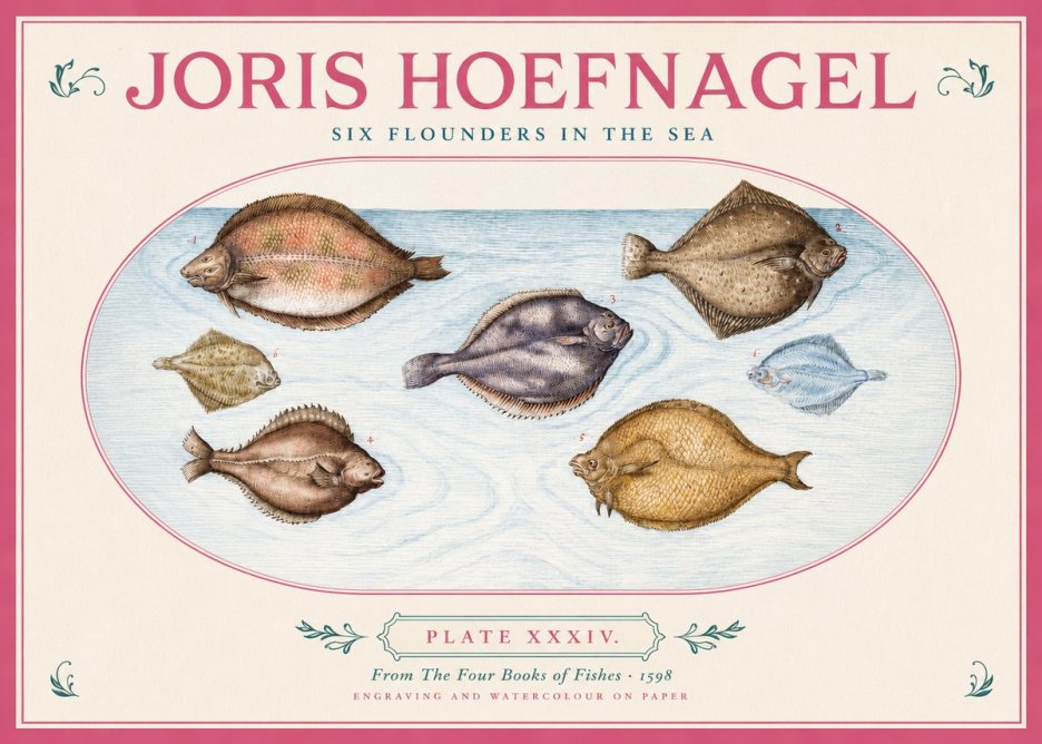 Joris Hoefnagel Six Flounders in the Sea No2 - Plakat