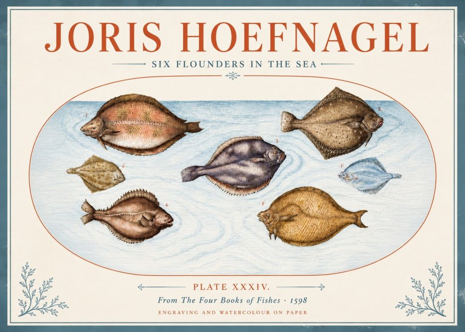 Joris Hoefnagel Six Flounders in the Sea No4 - Plakat