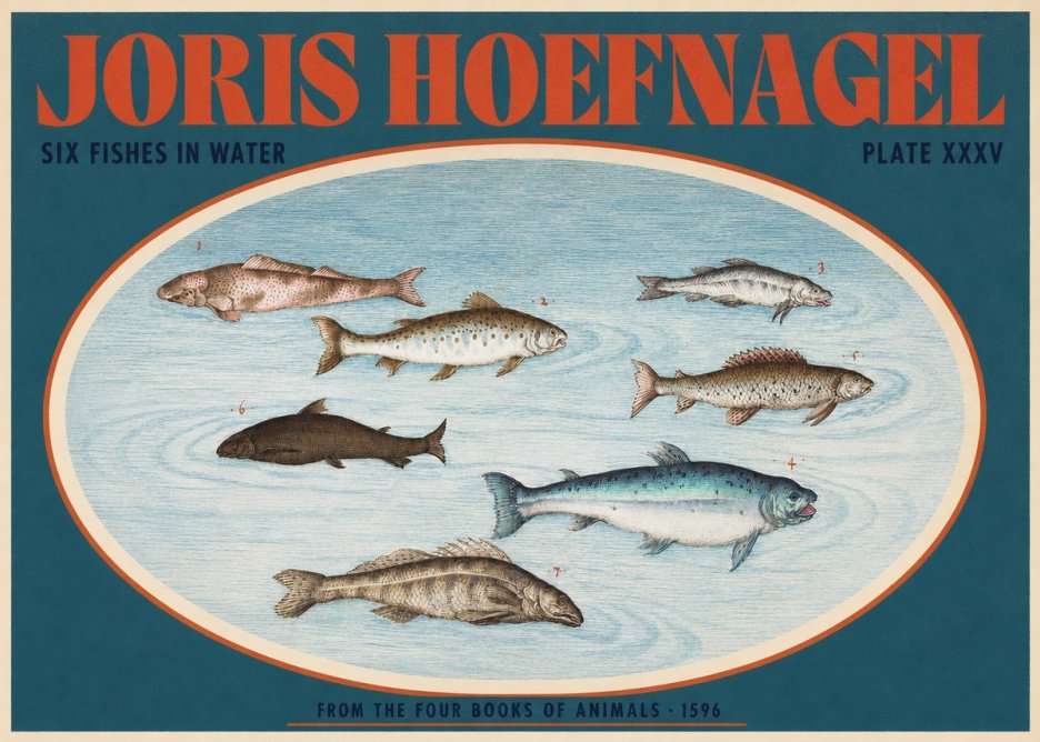 Joris Hoefnagel Six Fishes in Water I No2 - Plakat