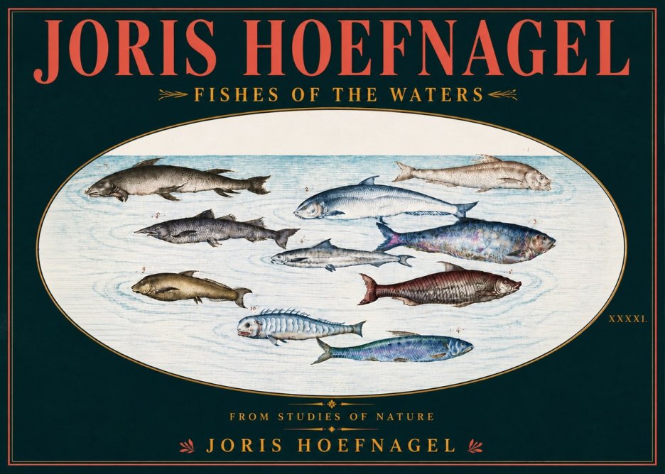 Joris Hoefnagel Fishes of the Waters II No6 - Plakat
