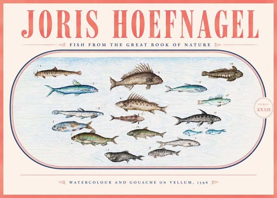 Joris Hoefnagel Fish from the Great Book of Nature No5 - Plakat
