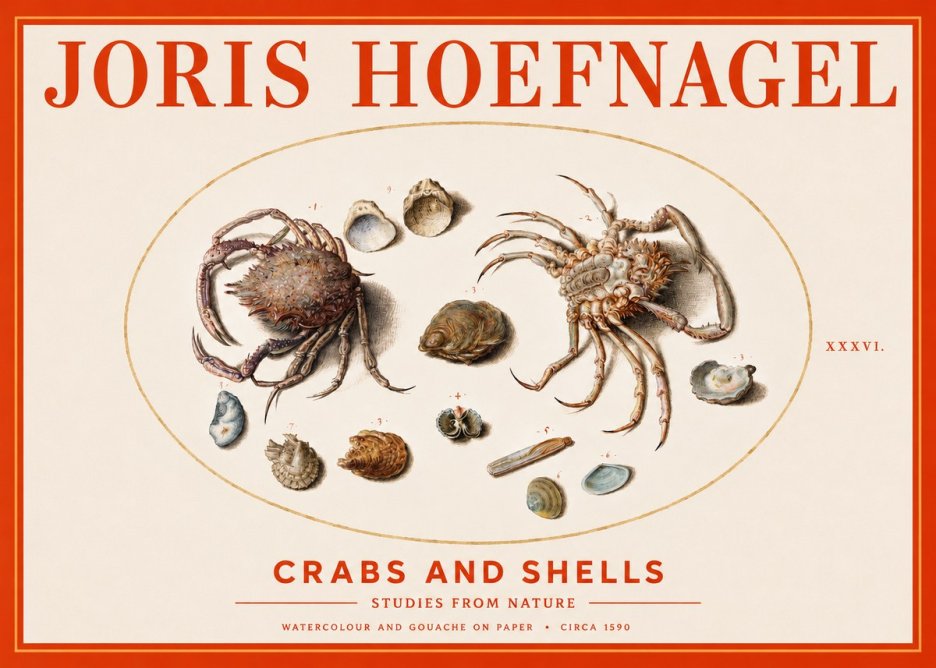 Joris Hoefnagel Crabs and Shells - Studies from Nature No3 - Plakat