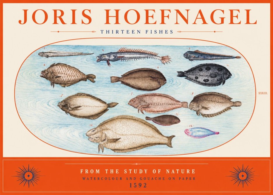 Joris Hoefnagel Thirteen Fishes from the Study of Nature No2 - Plakat