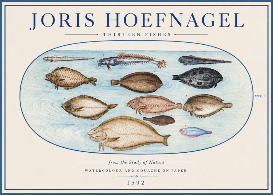 Joris Hoefnagel Thirteen Fishes from the Study of Nature No4 - Plakat