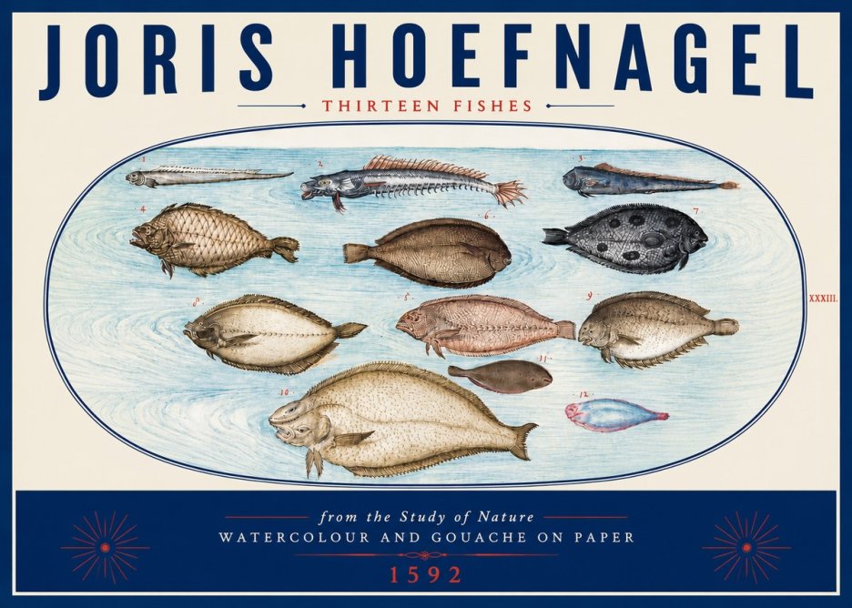 Joris Hoefnagel Thirteen Fishes from the Study of Nature No6 - Plakat