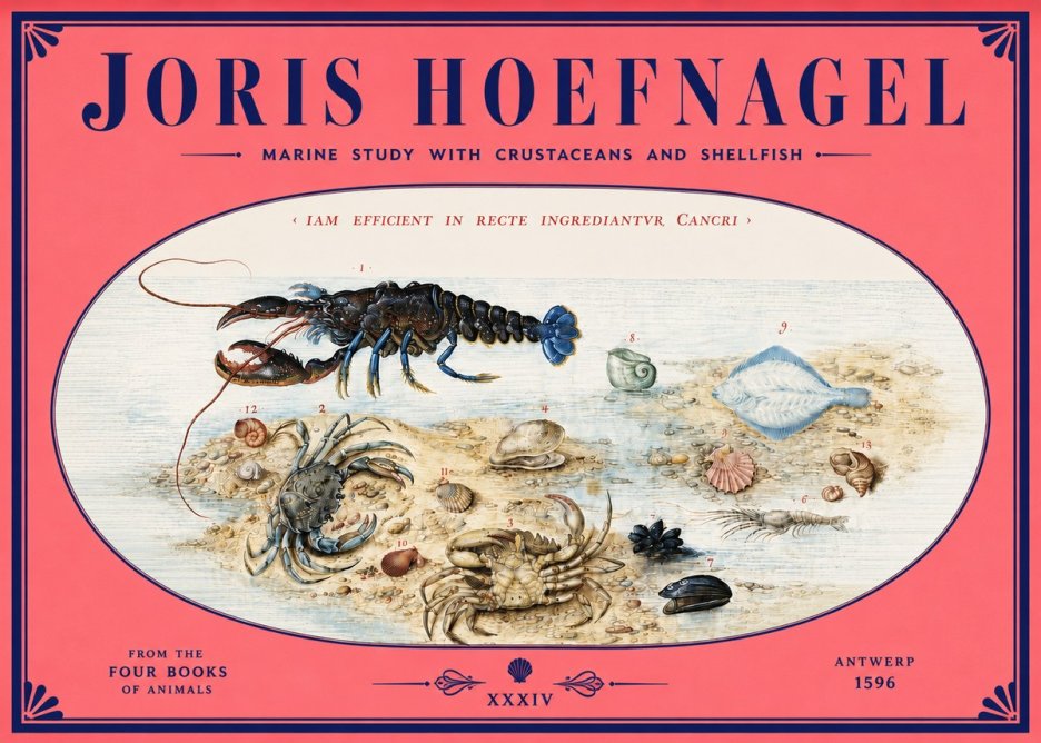 Joris Hoefnagel Marine Study with Crustaceans and Shellfish No4 - Plakat