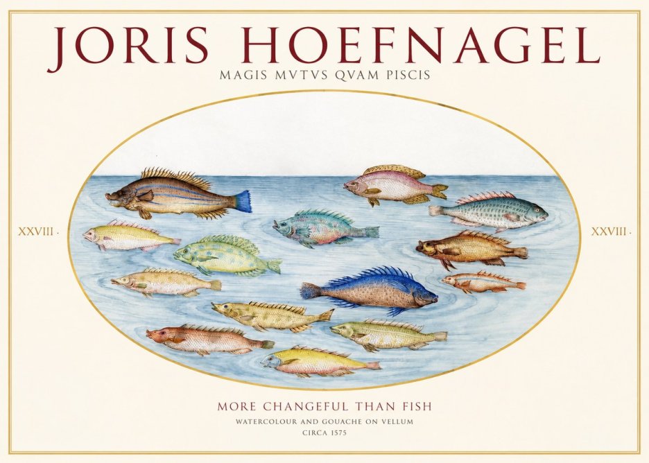 Joris Hoefnagel Fish More Than Silent No2 - Plakat