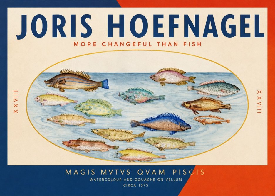 Joris Hoefnagel Fish More Than Silent No3 - Plakat