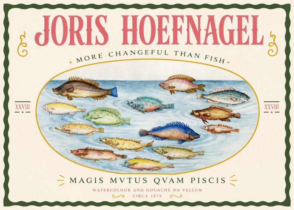 Joris Hoefnagel Fish More Than Silent No4 - Plakat