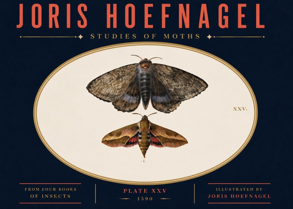 Joris Hoefnagel Studies of Moths I No4 - Plakat