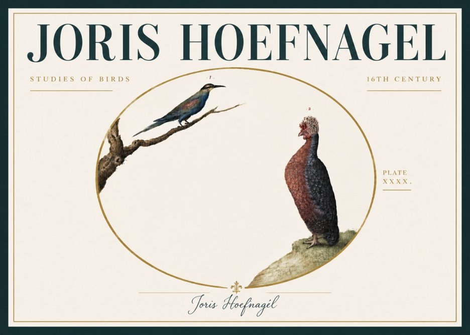 Joris Hoefnagel Studies of Birds I No6 - Plakat