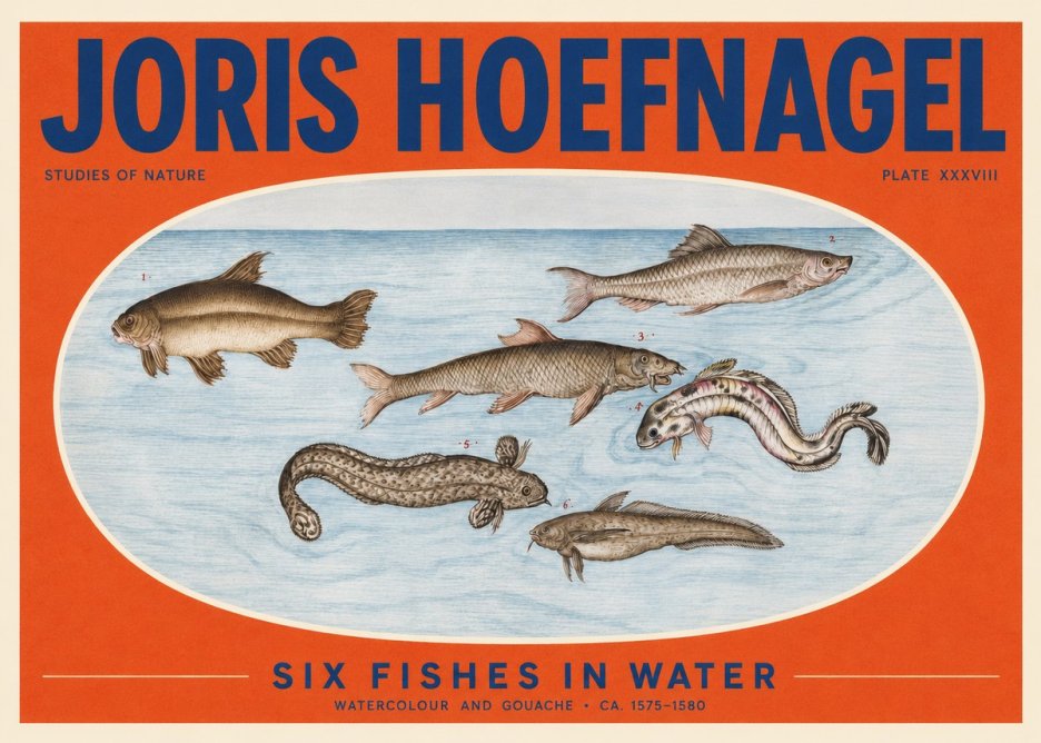 Joris Hoefnagel Six Fishes in Water II No2 - Plakat