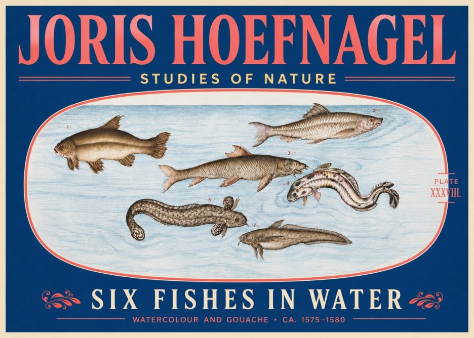 Joris Hoefnagel Six Fishes in Water II No5 - Plakat