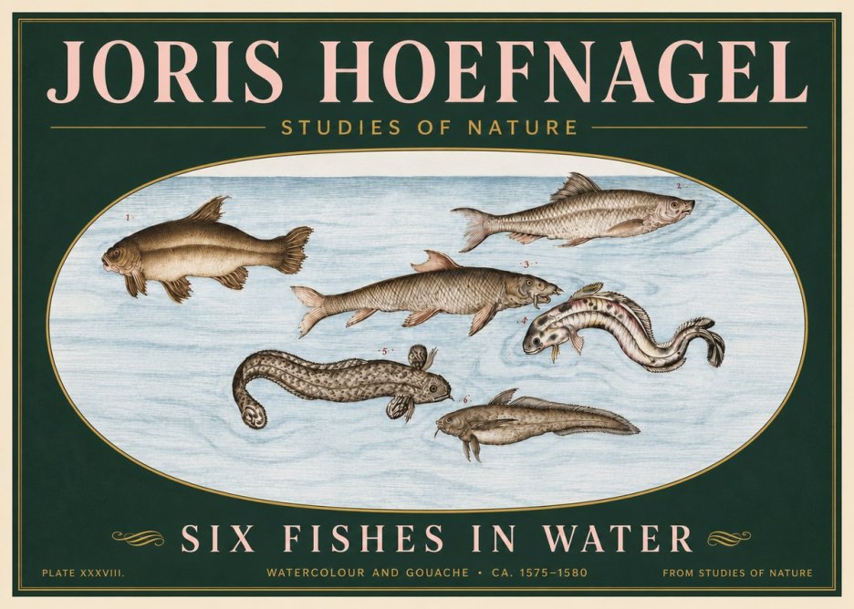 Joris Hoefnagel Six Fishes in Water II No6 - Plakat