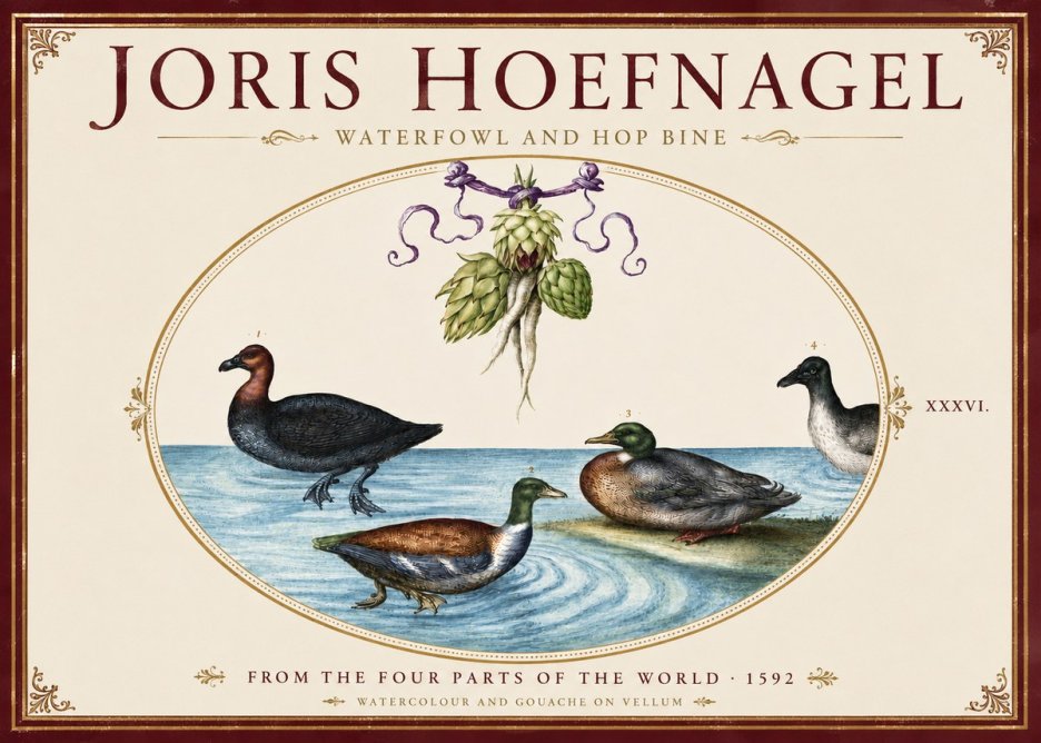 Joris Hoefnagel Waterfowl and Hop Bine No4 - Plakat