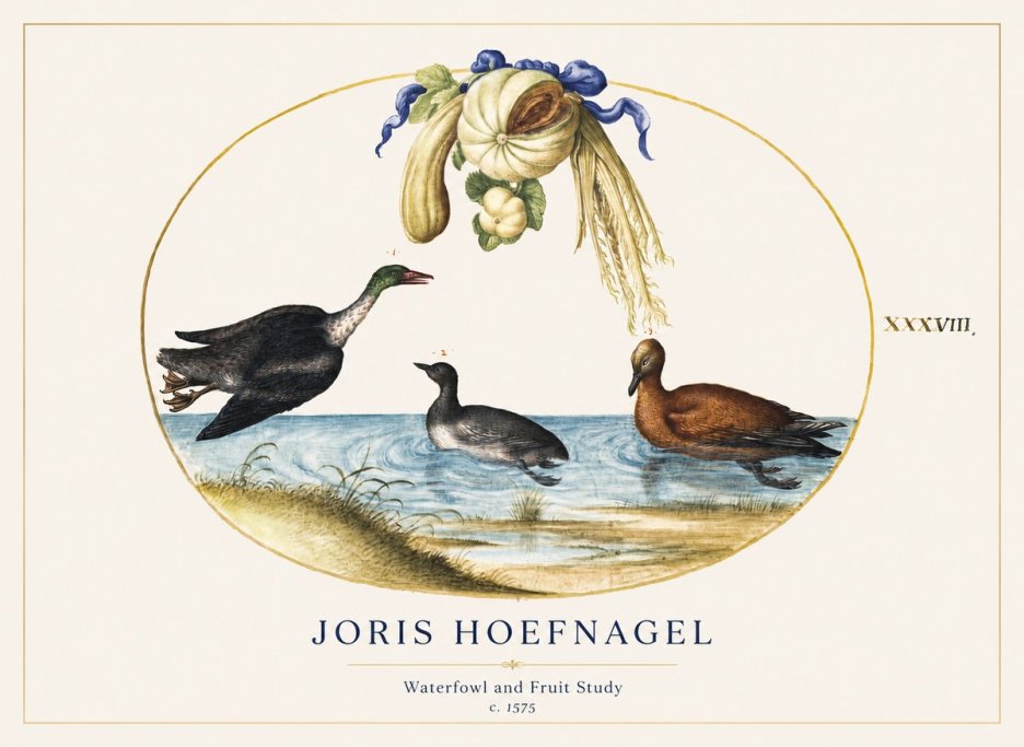 Joris Hoefnagel Waterfowl and Fruit Study No1 - Plakat