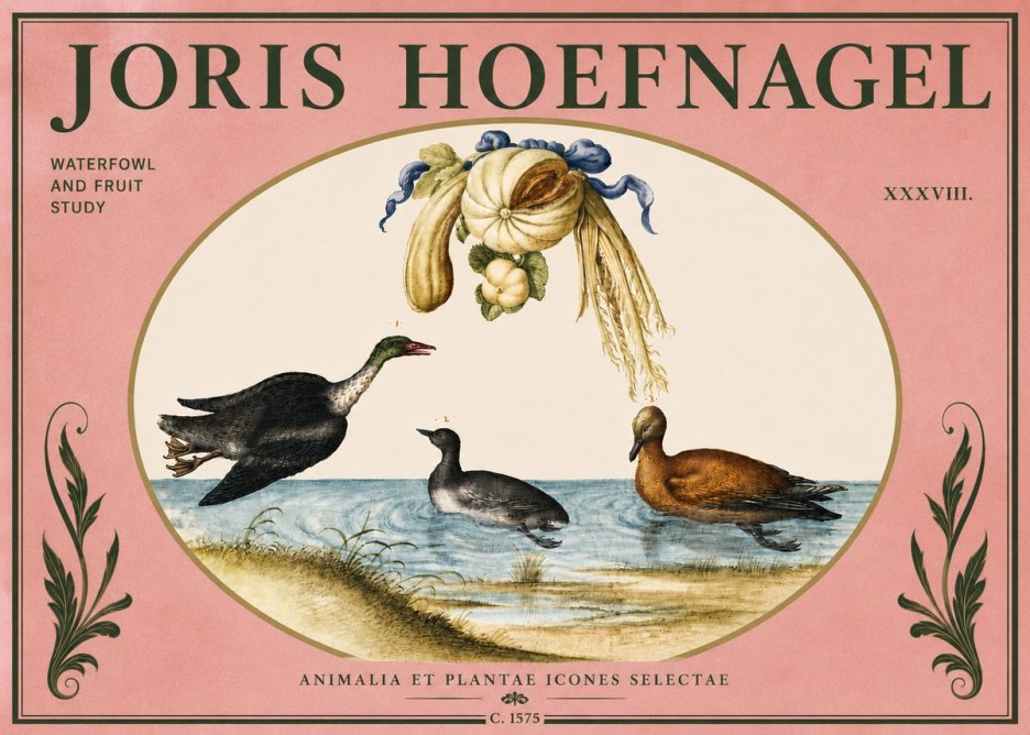 Joris Hoefnagel Waterfowl and Fruit Study No4 - Plakat