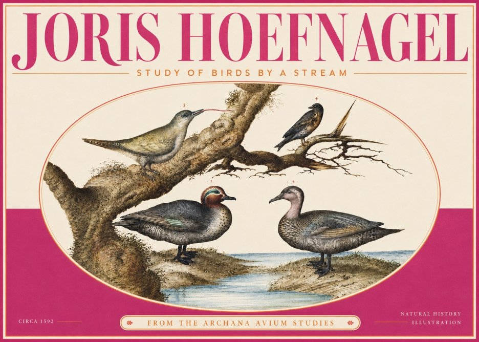 Joris Hoefnagel Study of Birds by a Stream No4 - Plakat