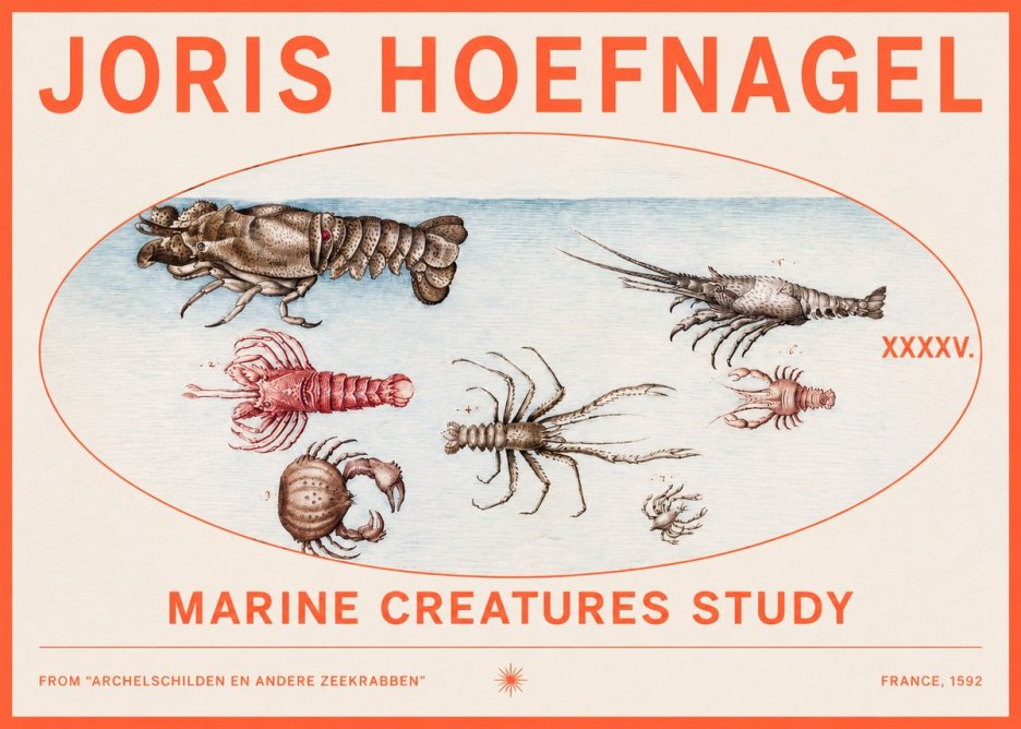 Joris Hoefnagel Studies of Crustaceans No3 - Plakat