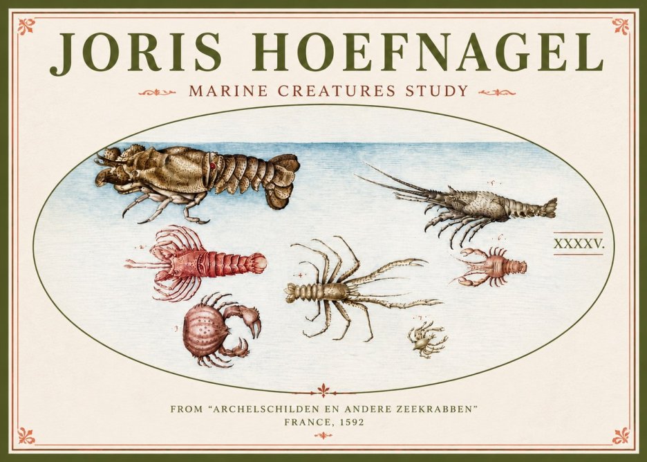 Joris Hoefnagel Studies of Crustaceans No5 - Plakat
