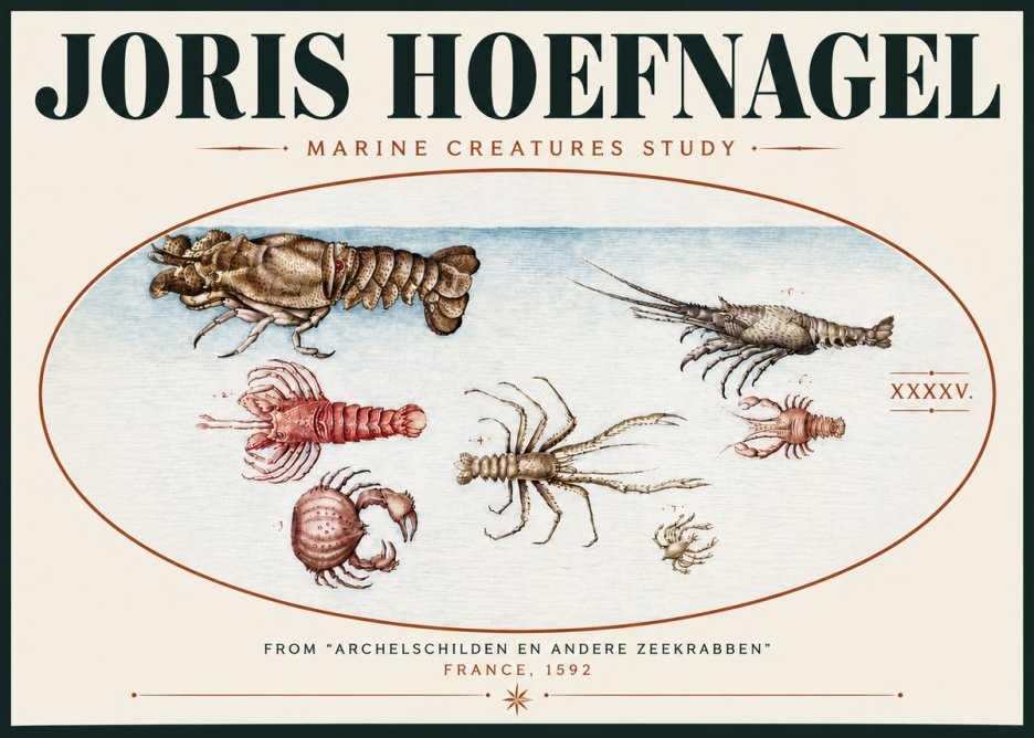 Joris Hoefnagel Studies of Crustaceans No6 - Plakat