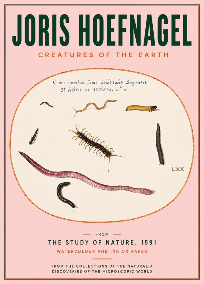 Joris Hoefnagel Creatures of the Earth II No4 - Plakat