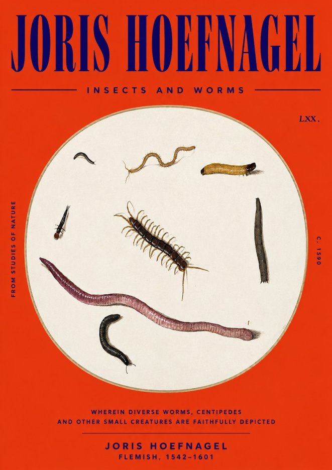 Joris Hoefnagel Creatures of the Earth II No6 - Plakat